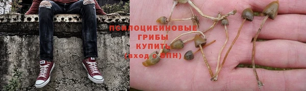 героин Алексин