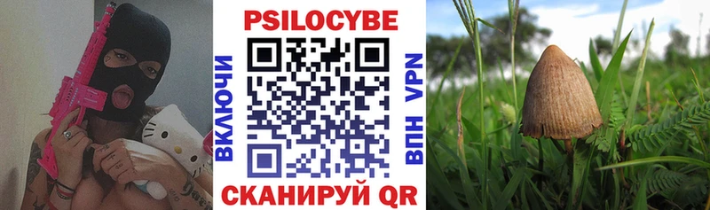 как найти закладки  Полтавская  Галлюциногенные грибы Psilocybine cubensis 